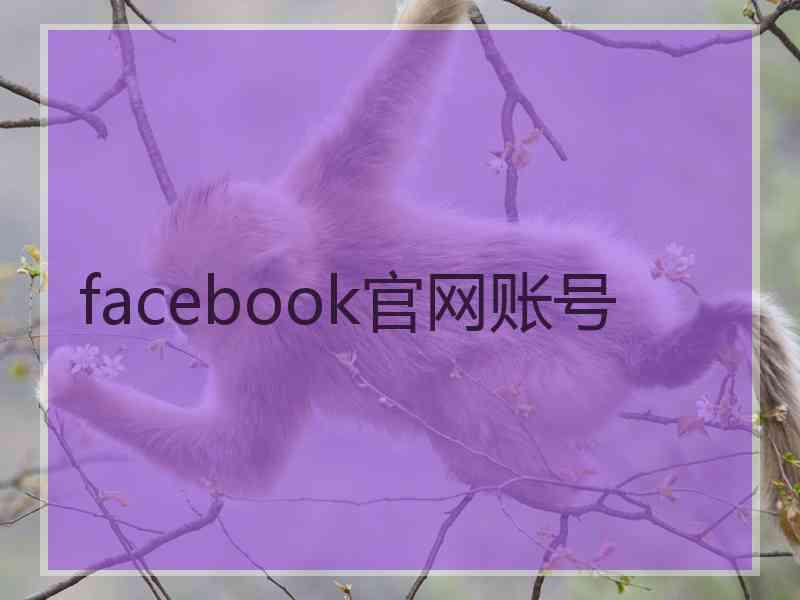 facebook官网账号