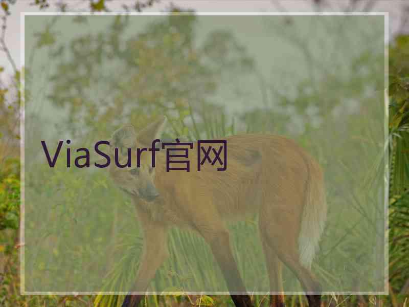 ViaSurf官网