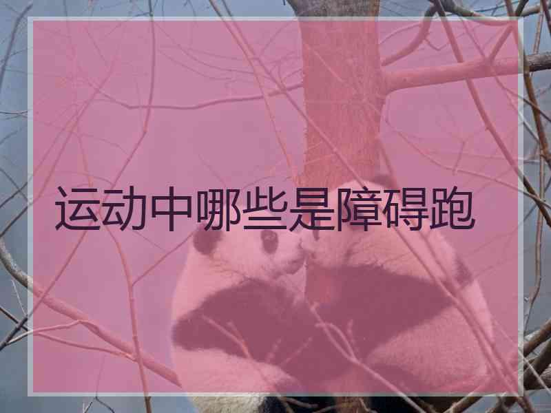 运动中哪些是障碍跑