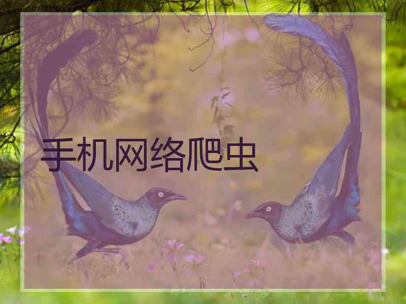 手机网络爬虫