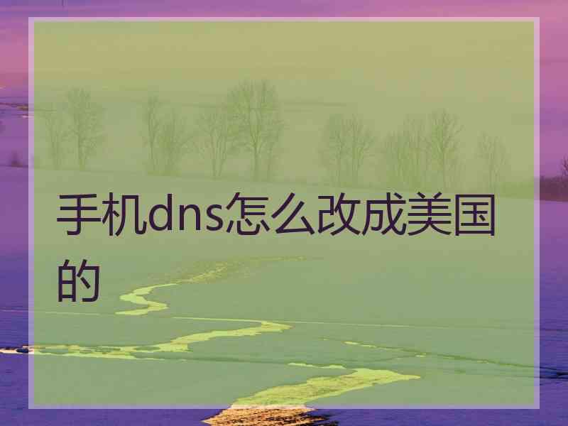 手机dns怎么改成美国的