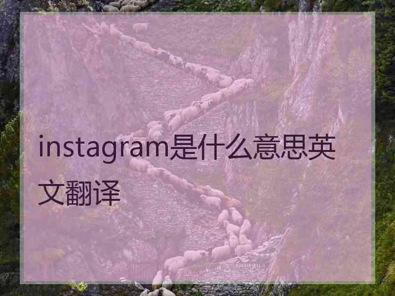 instagram是什么意思英文翻译