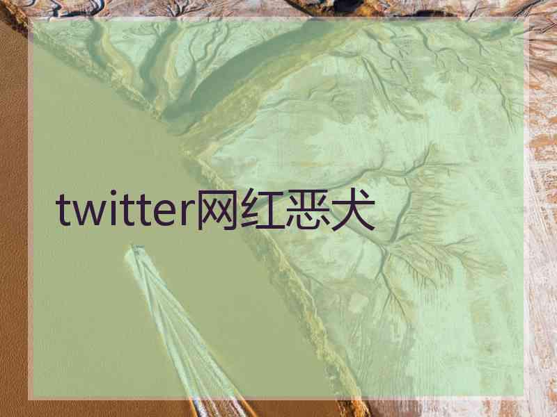 twitter网红恶犬