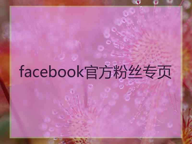 facebook官方粉丝专页