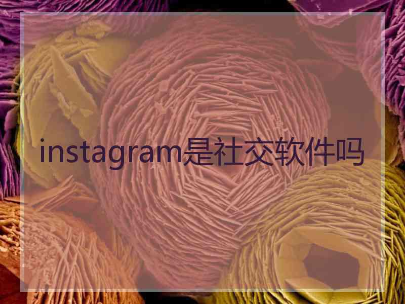 instagram是社交软件吗