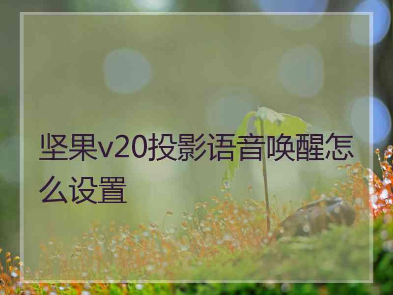 坚果v20投影语音唤醒怎么设置