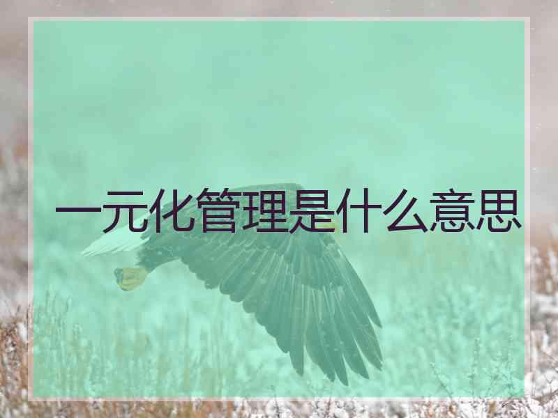 一元化管理是什么意思