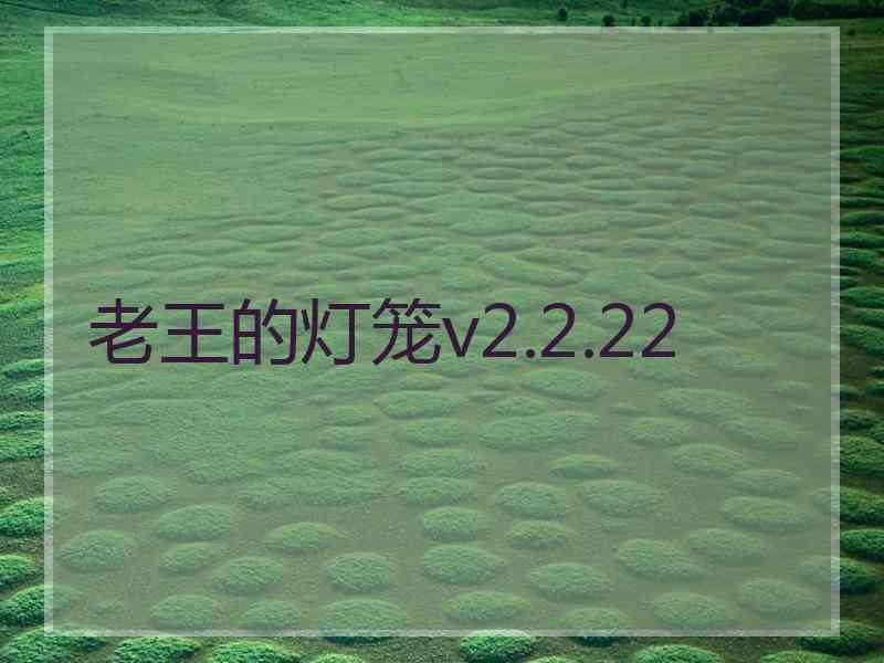 老王的灯笼v2.2.22