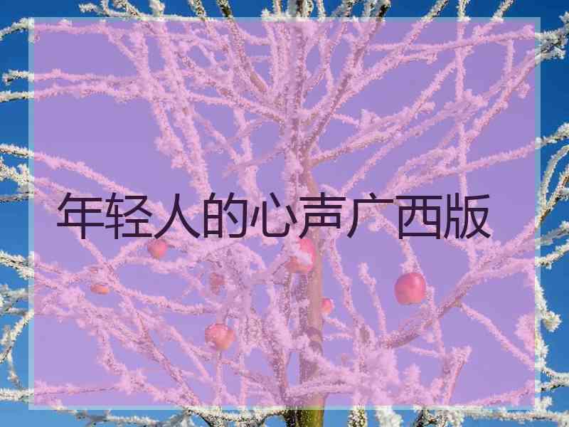 年轻人的心声广西版