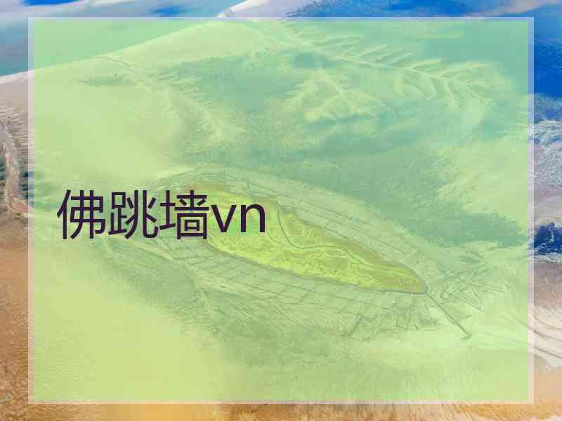 佛跳墙vn