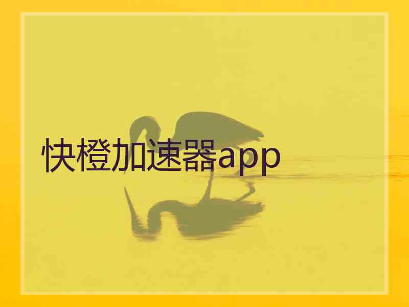 快橙加速器app