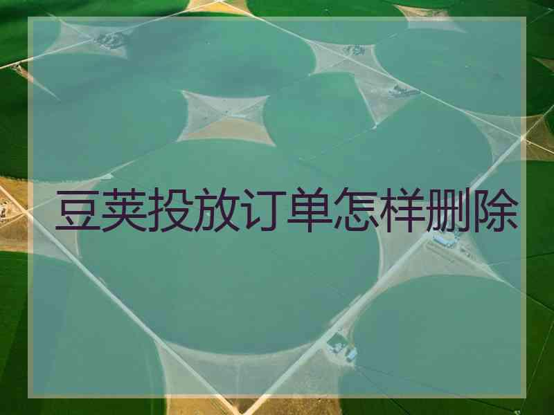 豆荚投放订单怎样删除