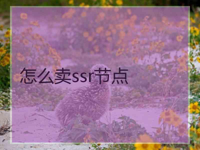 怎么卖ssr节点