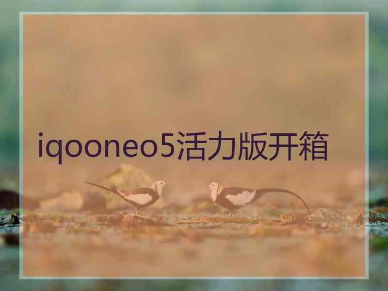 iqooneo5活力版开箱