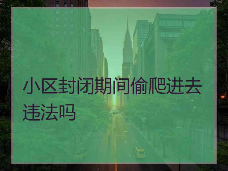 小区封闭期间偷爬进去违法吗