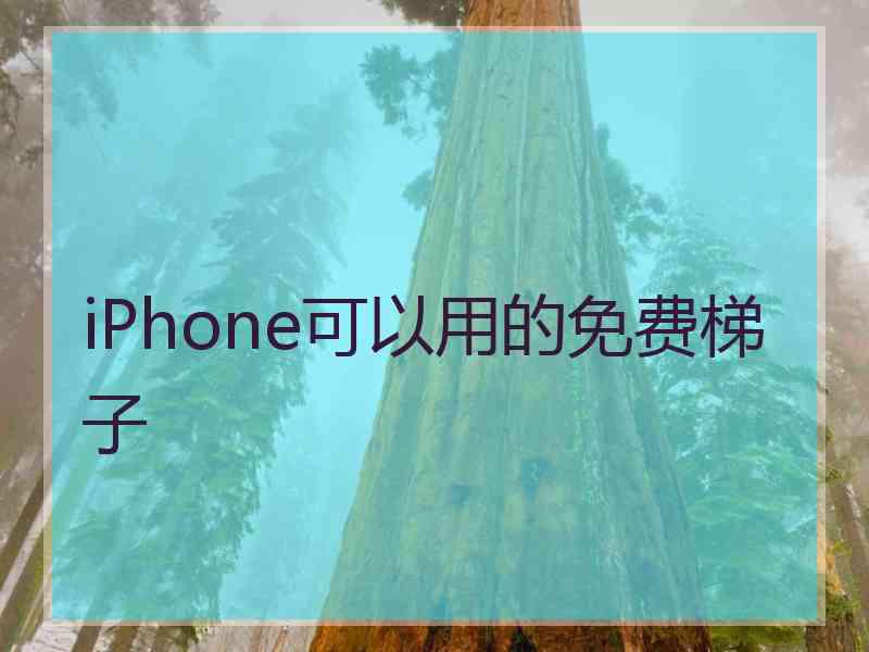 iPhone可以用的免费梯子