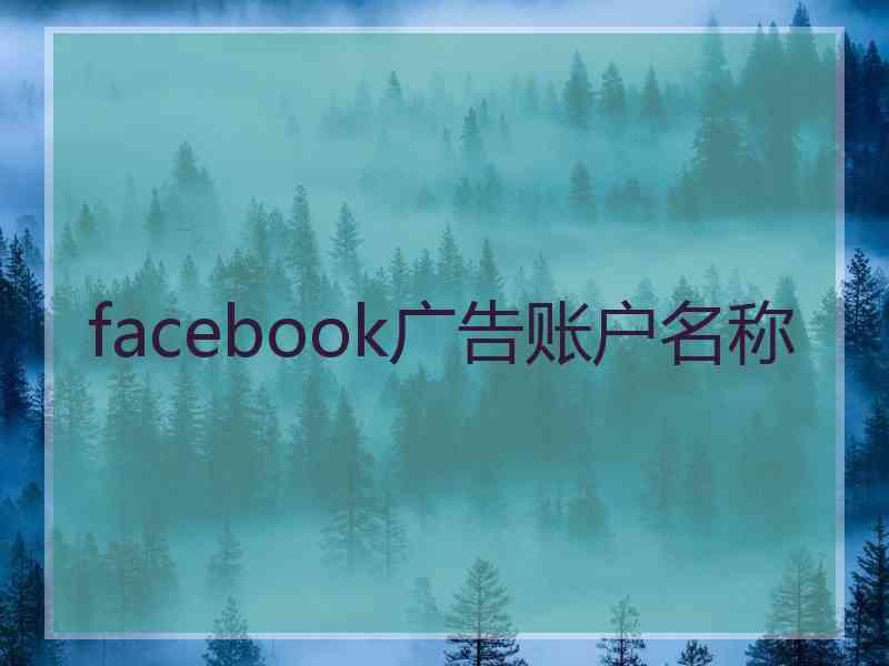 facebook广告账户名称