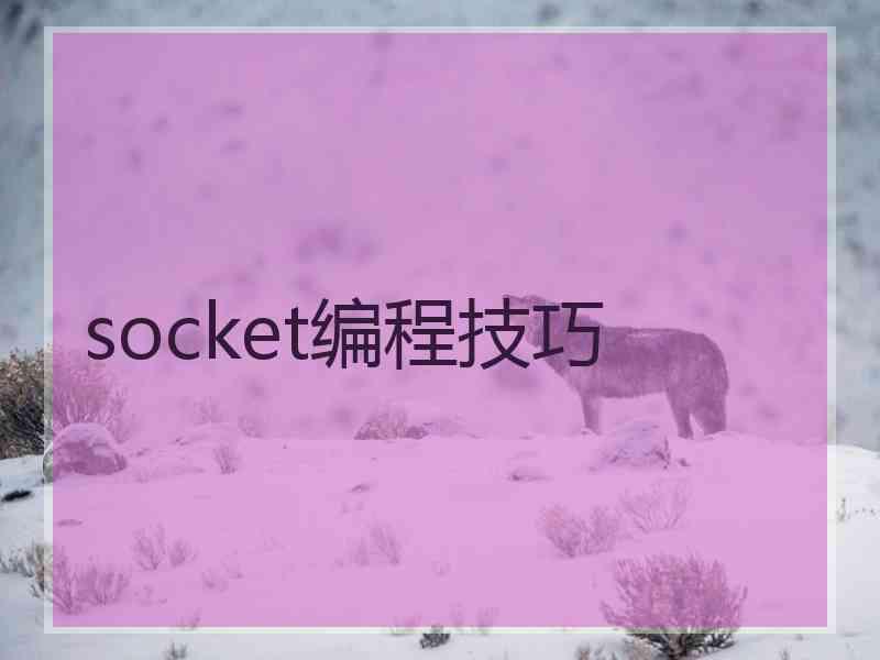 socket编程技巧