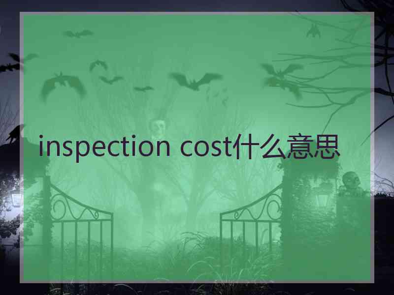 inspection cost什么意思