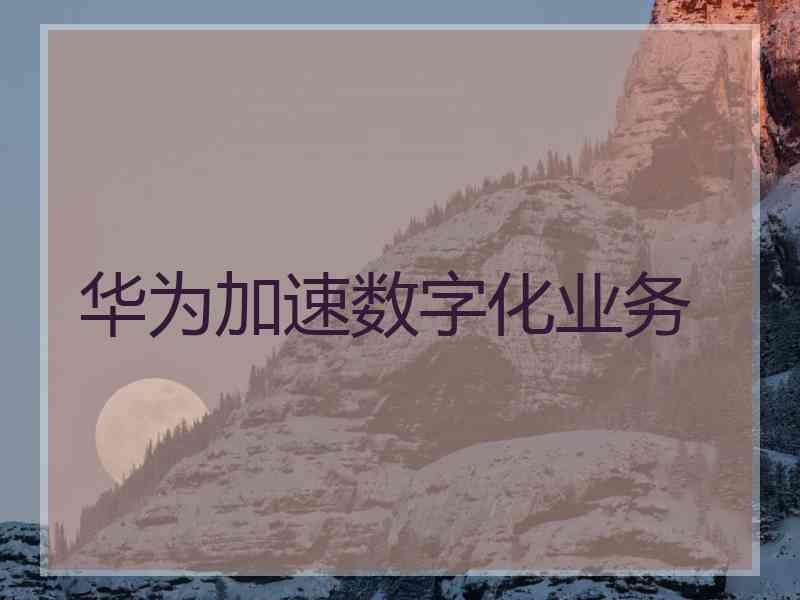 华为加速数字化业务