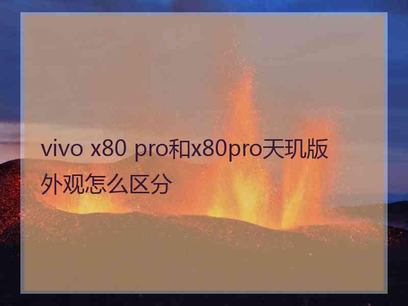 vivo x80 pro和x80pro天玑版外观怎么区分