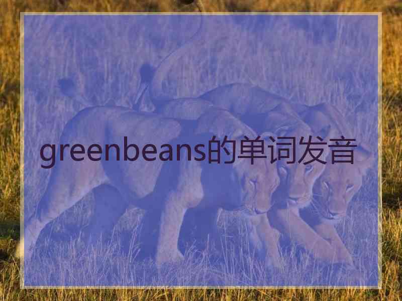 greenbeans的单词发音