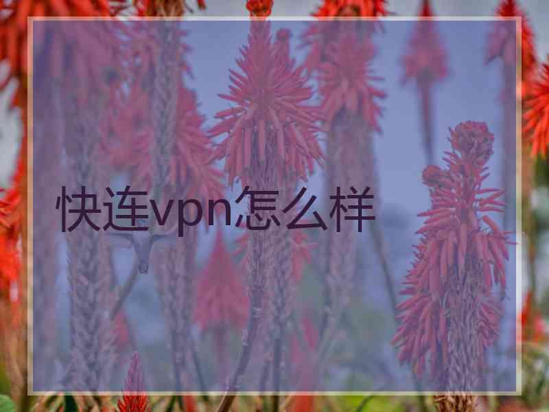 快连vpn怎么样