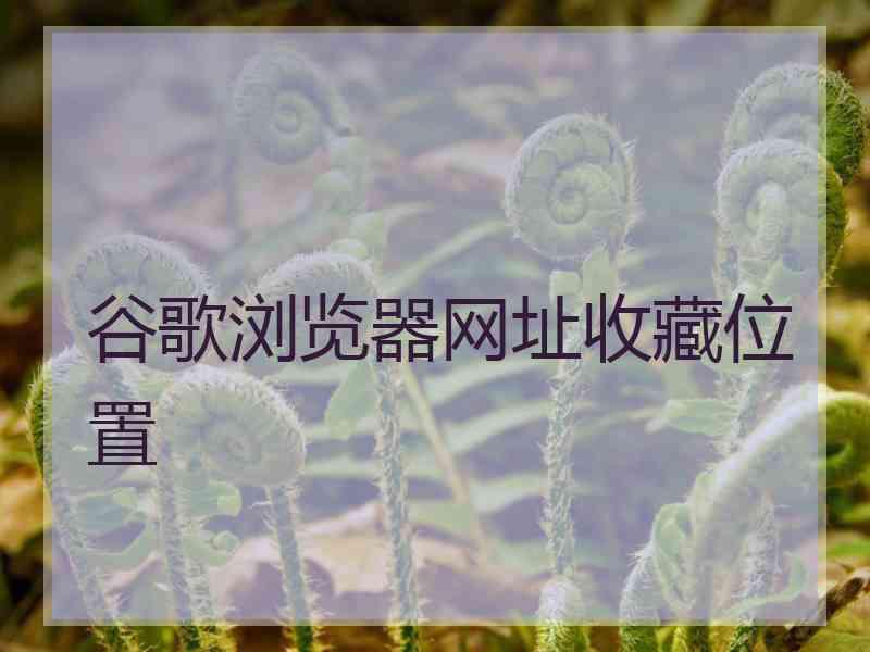 谷歌浏览器网址收藏位置