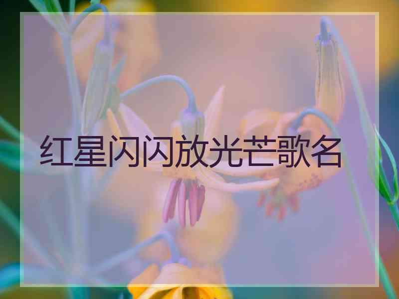 红星闪闪放光芒歌名