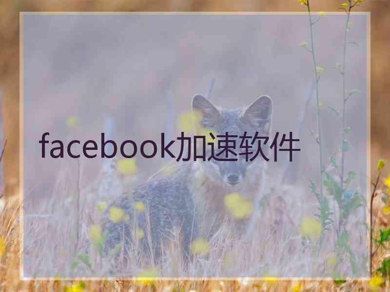 facebook加速软件