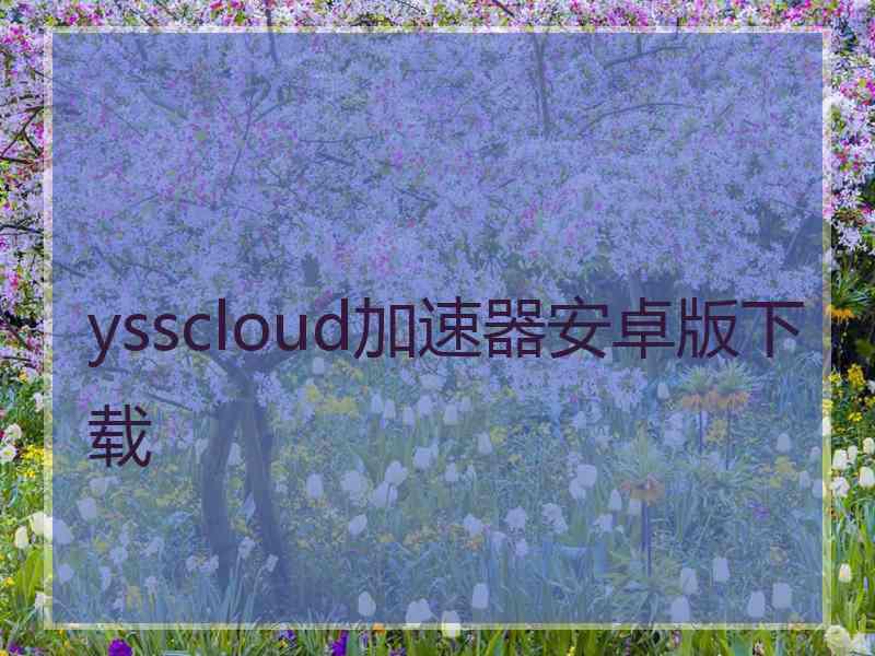 ysscloud加速器安卓版下载