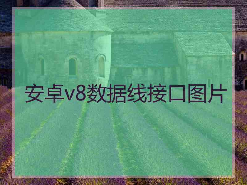 安卓v8数据线接口图片