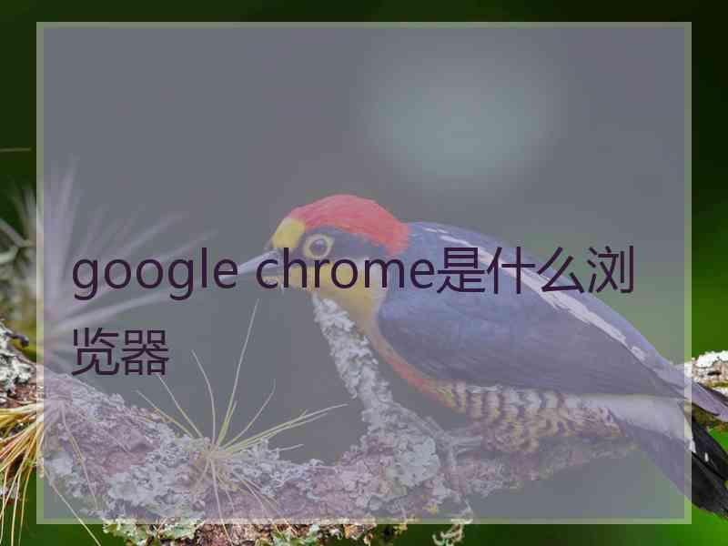 google chrome是什么浏览器