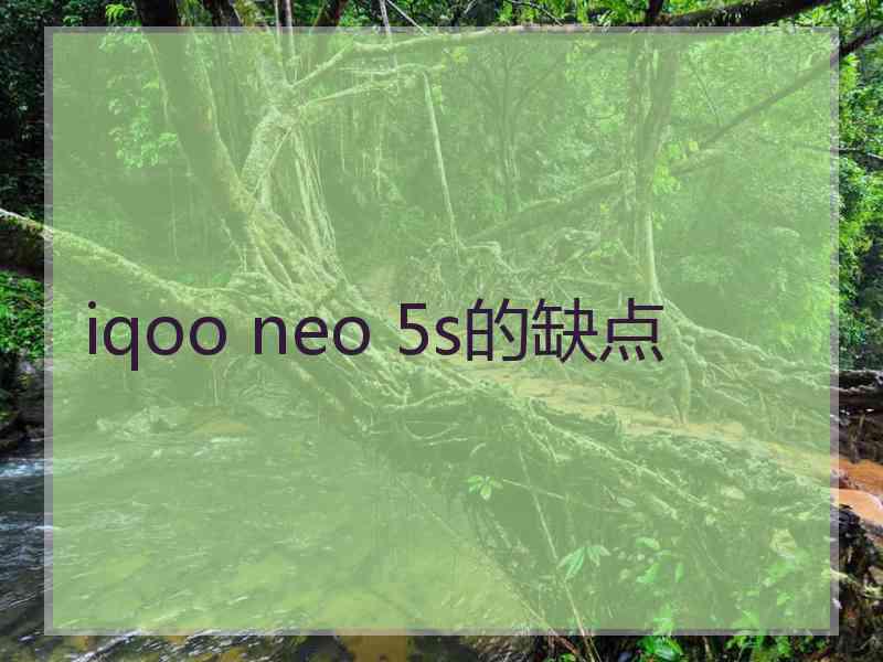 iqoo neo 5s的缺点