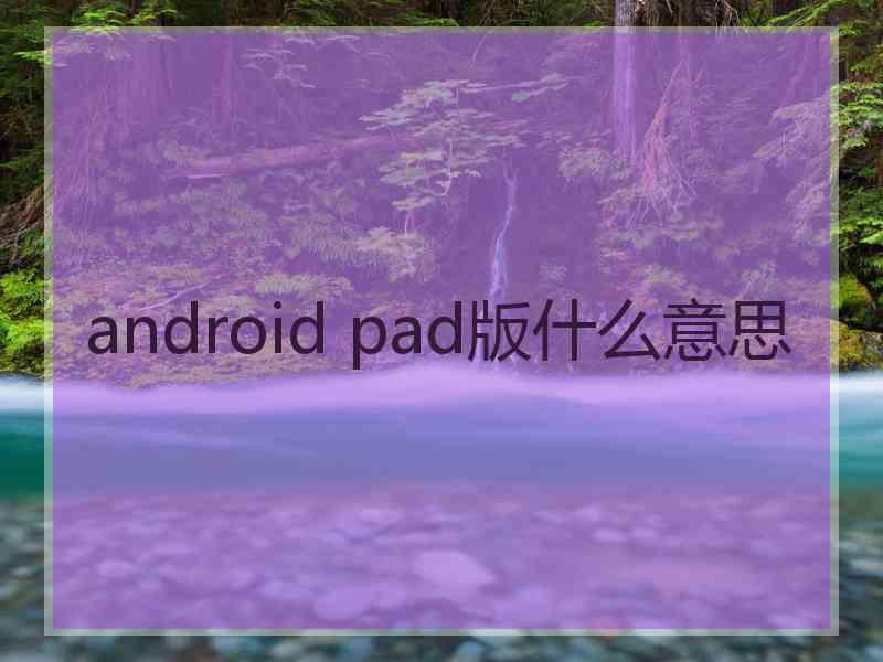 android pad版什么意思