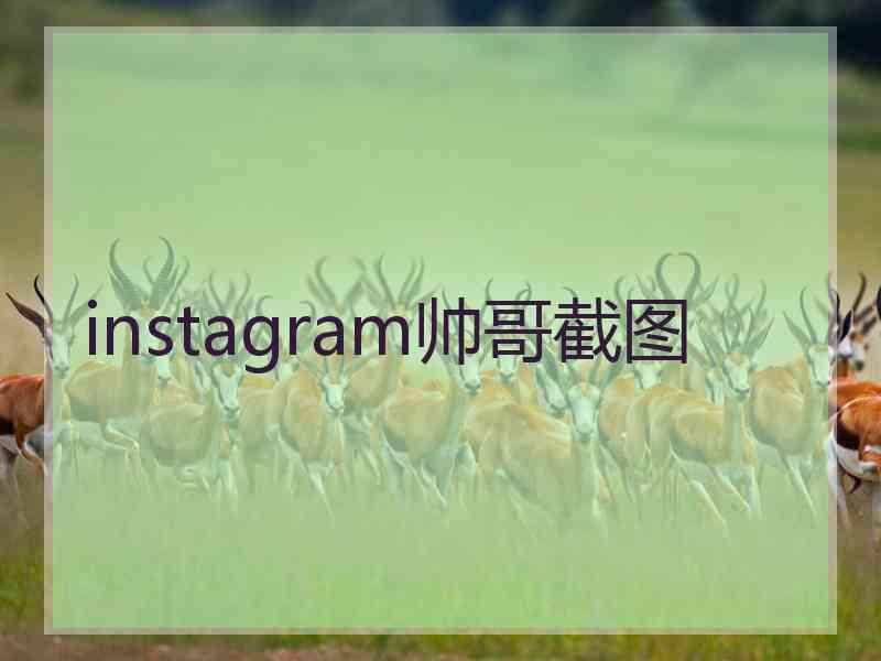 instagram帅哥截图