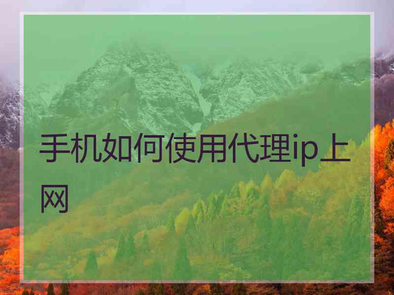 手机如何使用代理ip上网