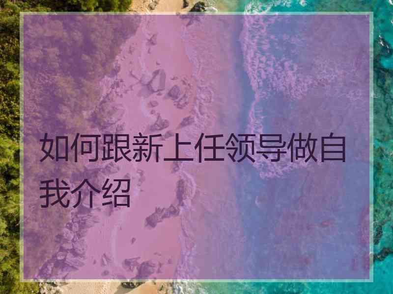 如何跟新上任领导做自我介绍