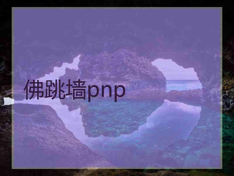 佛跳墙pnp