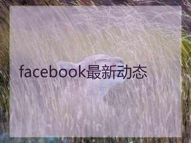 facebook最新动态