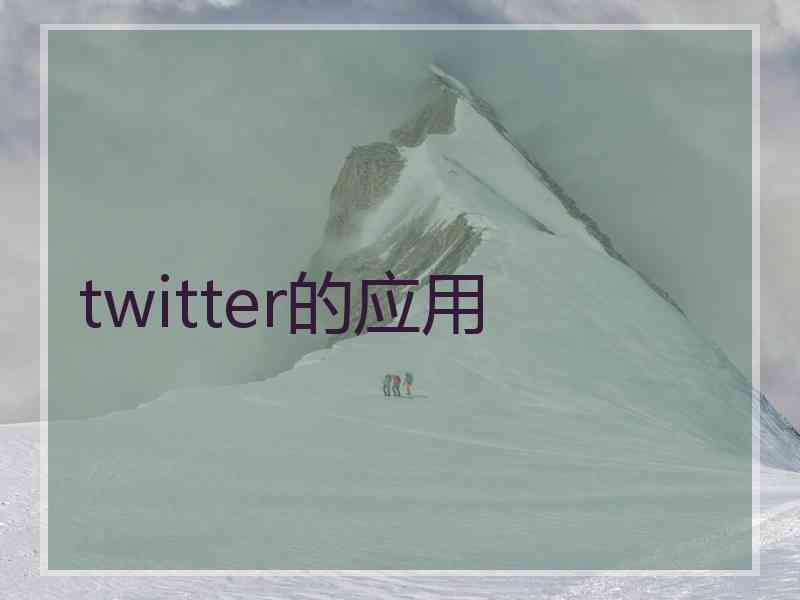 twitter的应用