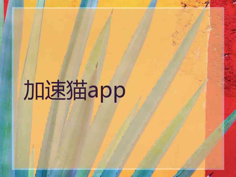 加速猫app