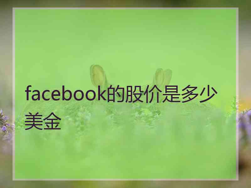 facebook的股价是多少美金