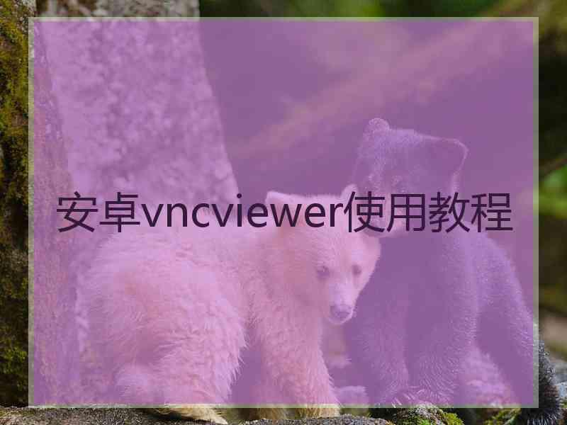 安卓vncviewer使用教程