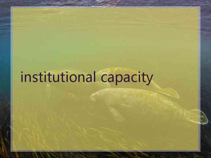 institutional capacity