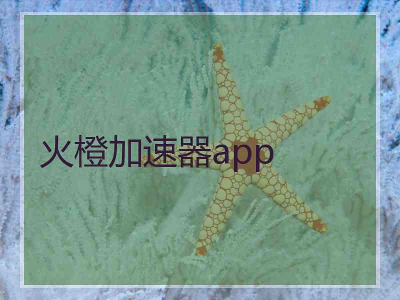 火橙加速器app