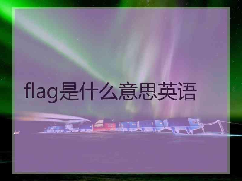 flag是什么意思英语