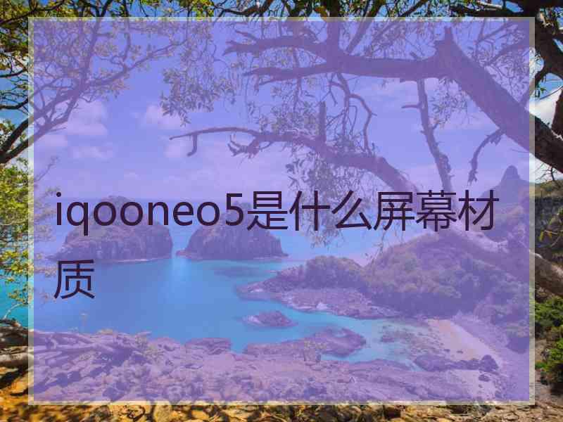 iqooneo5是什么屏幕材质