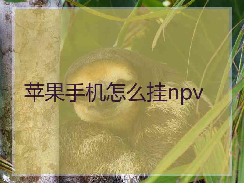 苹果手机怎么挂npv