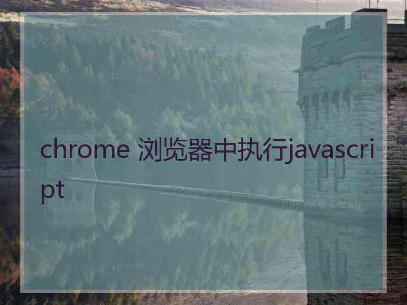 chrome 浏览器中执行javascript